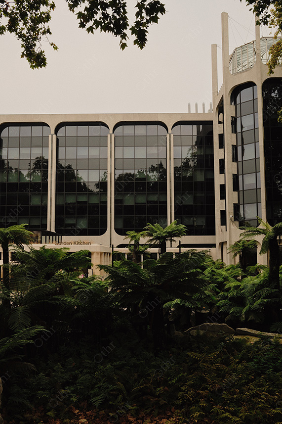 Modern Institutional Building Facade Framed by Ferns and Trees in Soft Overcast Light