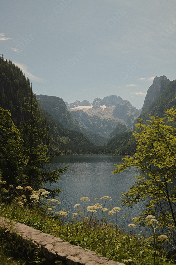 Mountain Lake Framed by Forested Slopes and Distant Peaks Under Clear Blue Sky