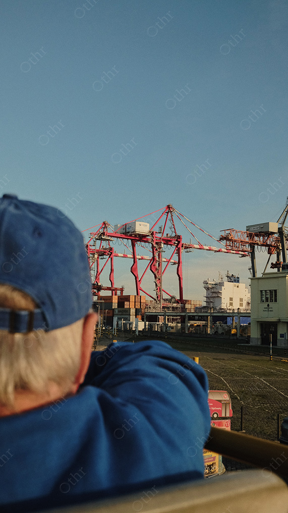 Person in Blue Cap Looking Toward Container Cranes at Industrial Port Under Clear Sky