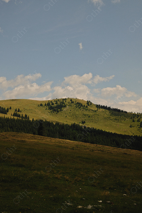 Rolling Alpine Meadow With Forested Ridge Beneath Scattered Clouds and Blue Sky