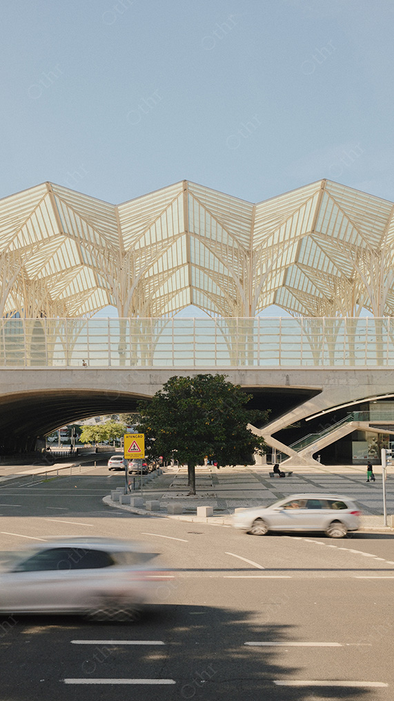 Modern Transit Hub With White Lattice Roof Above Multi-Lane Road and Passing Traffic