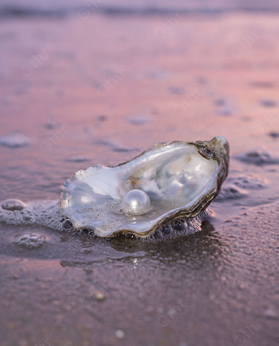 Open Oyster Shell With Pearl Resting on Wet Sand at Sunset