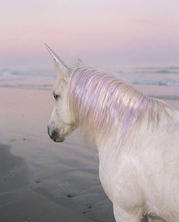 White Unicorn With Iridescent Mane Standing on Beach at Sunset