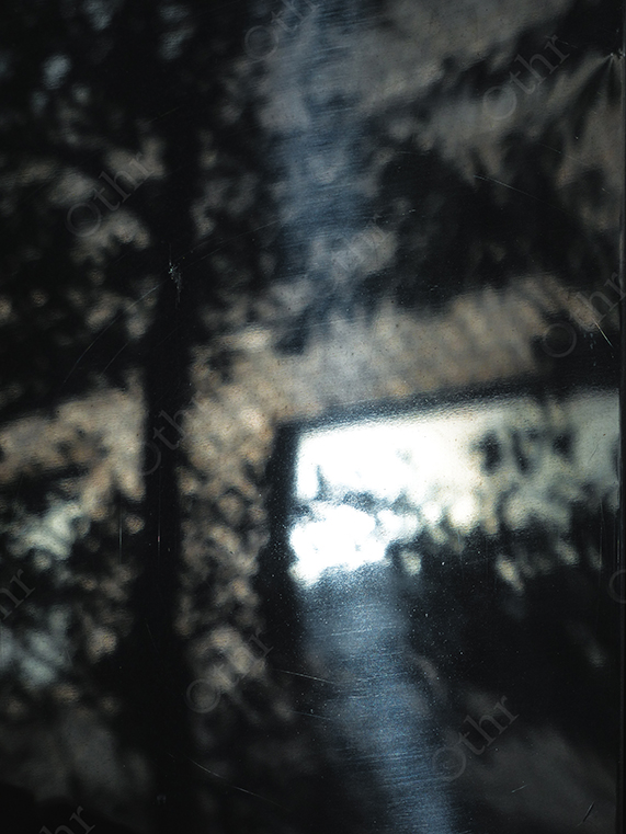 Abstract Light Reflection Through Dirty Glass with Shadowed Foliage Patterns