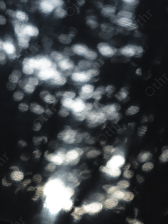 Out of Focus Light Bokeh Through Trees in Dark Outdoor Setting
