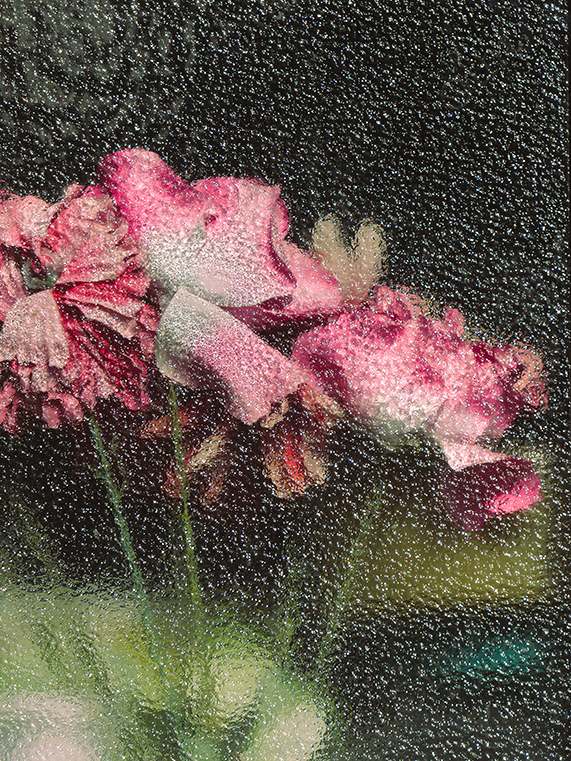 Pink Flowers Seen Through Textured Glass with Soft Focus and Grainy Surface