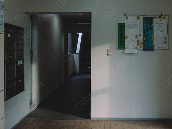 Dimly Lit Apartment Corridor with Mailboxes and Notice Board in Minimal Interior