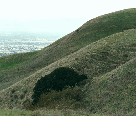 Grassy Hillside Sloping Towards Distant City Under Hazy Sky