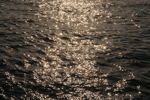 Sunlight Reflecting on Dark Ocean Water With Shimmering Highlights