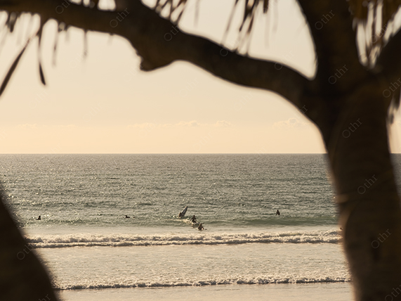 View of Surfers in Ocean Framed by Tree Branches at Beach