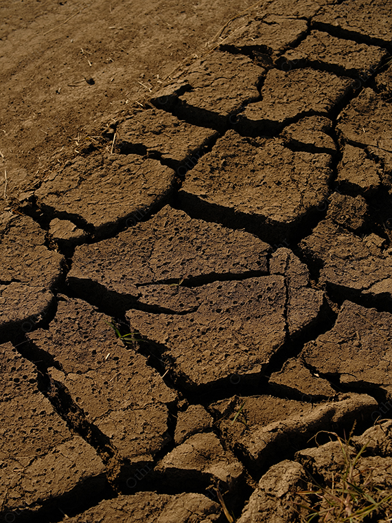 Close-Up of Cracked Dry Earth Surface With Deep Fissures in Harsh Sunlight