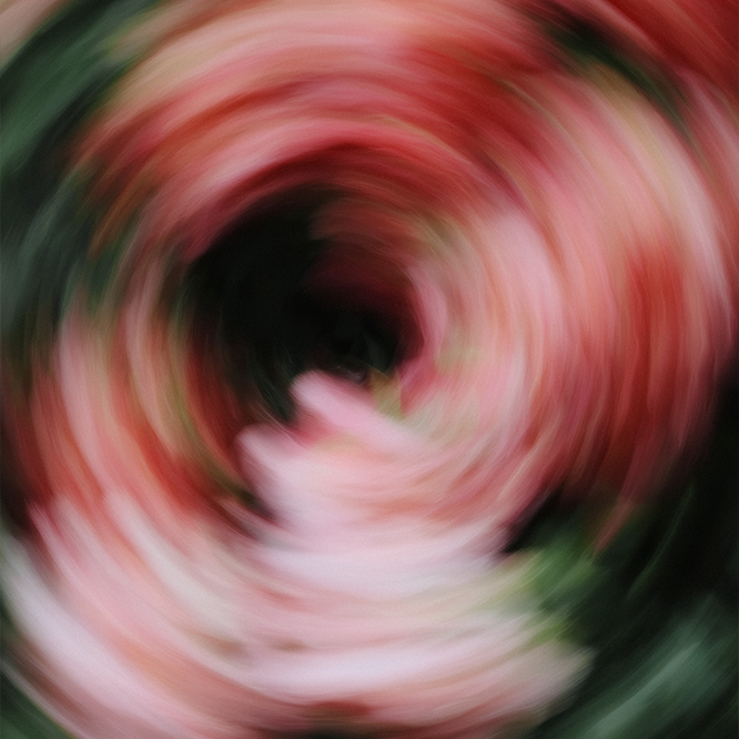 Nature in Motion
